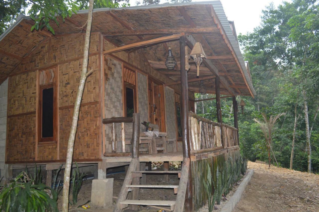 Landak River Guest House Only Trekking With Us Букит-Лаванг Экстерьер фото