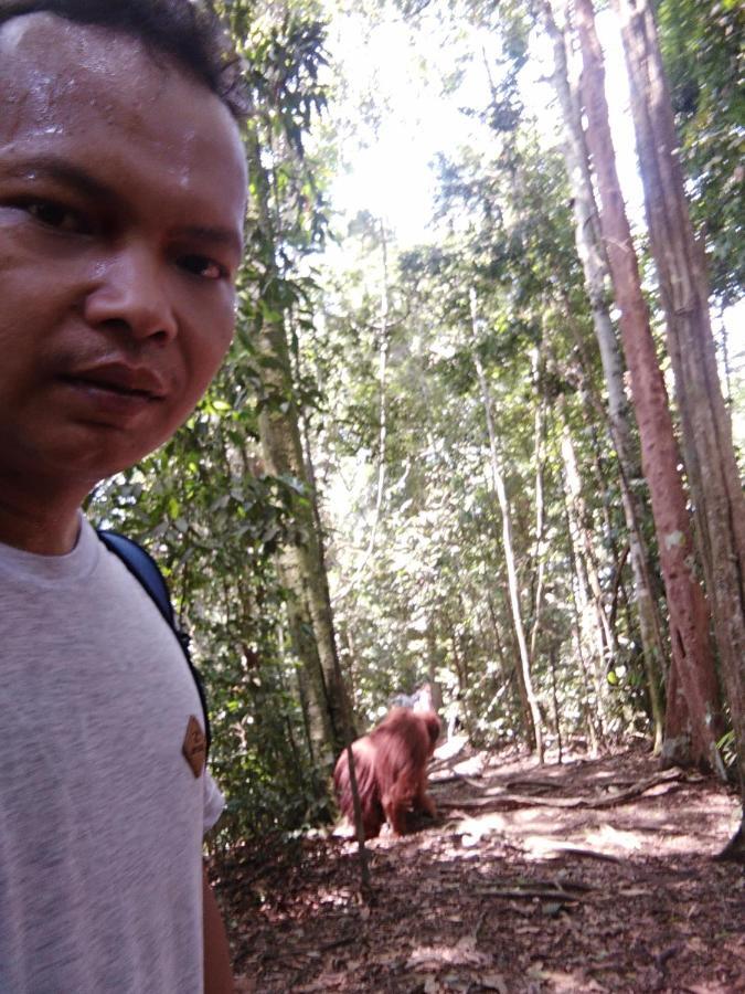 Landak River Guest House Only Trekking With Us Букит-Лаванг Экстерьер фото